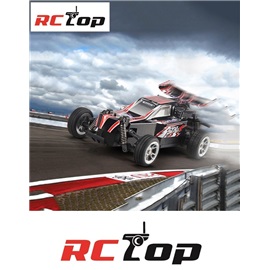 RCTop 2WD Buggy off-road 25Km/h 1:24